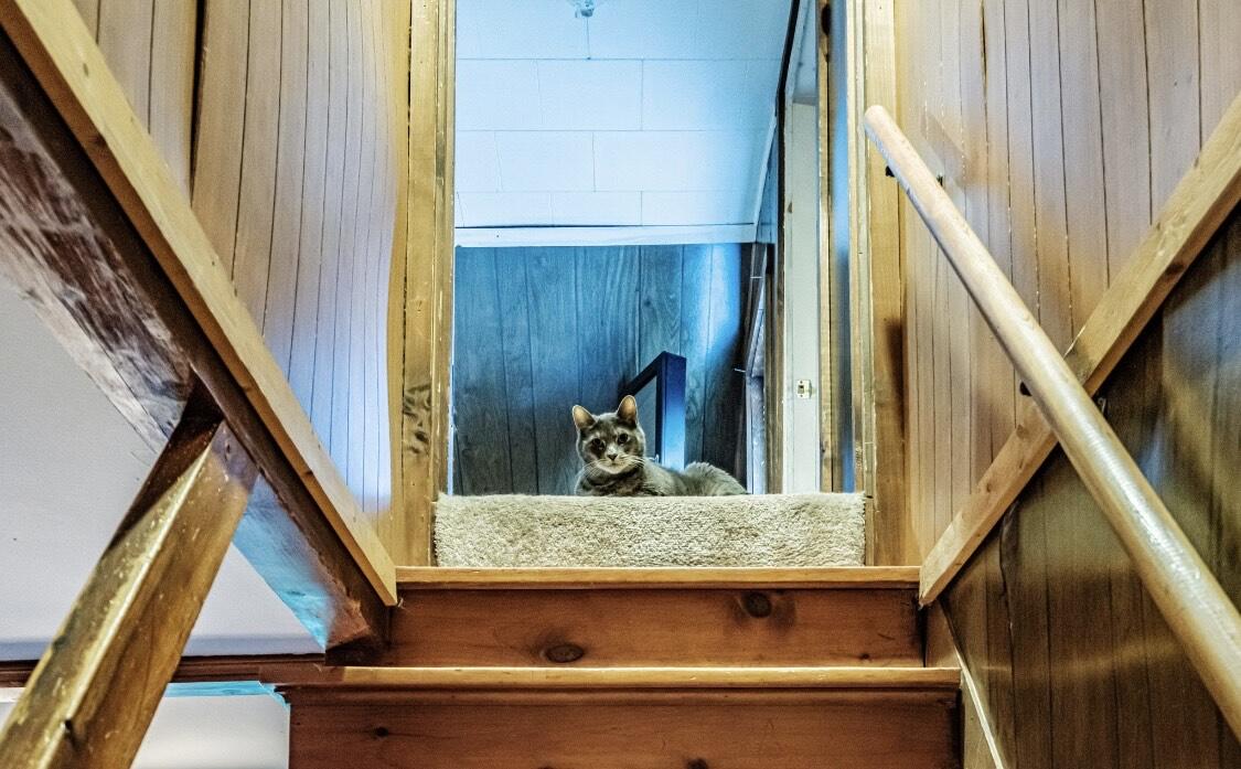 428 Cathance Road Topsham, ME 04086 - Photo 21 of 21 IMG_0412