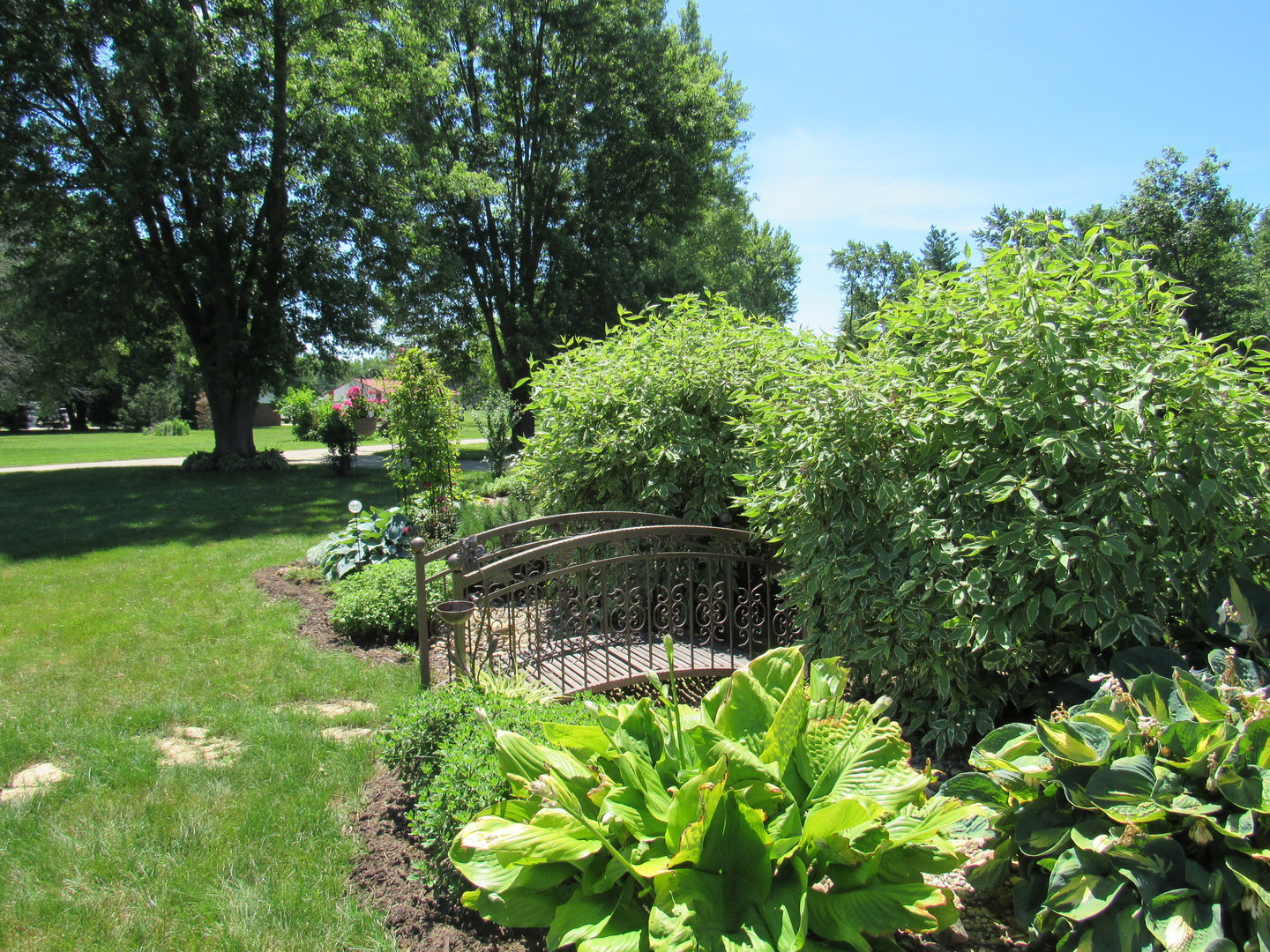 1027 West Kennedy Road Braidwood, IL 60408 - Photo 12 of 55 a backyard of a house with lots of green space and trees in the back