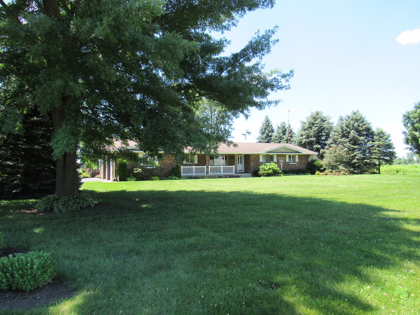 1027 West Kennedy Road Braidwood, IL 60408 - Photo 18 of 55 a view of a park with large trees