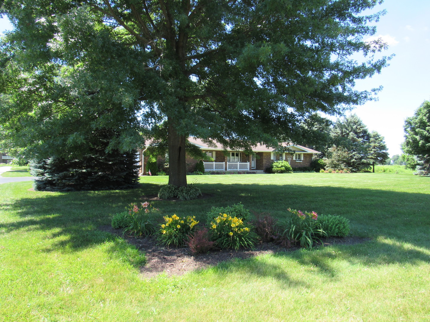 1027 West Kennedy Road Braidwood, IL 60408 - Photo 3 of 55 a view of a garden with a tree