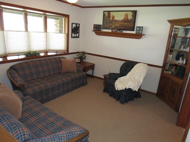 1027 West Kennedy Road Braidwood, IL 60408 - Photo 32 of 55 a living room with furniture and a window