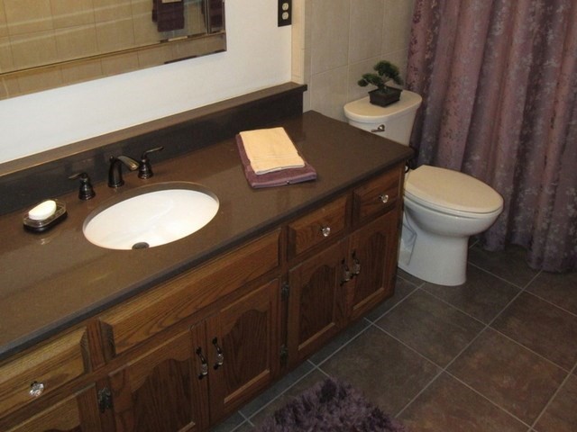 1027 West Kennedy Road Braidwood, IL 60408 - Photo 37 of 55 a bathroom with a sink a toilet and a mirror