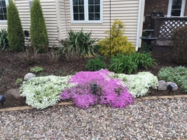 1027 West Kennedy Road Braidwood, IL 60408 - Photo 50 of 55 a pink flowers in front of the garden
