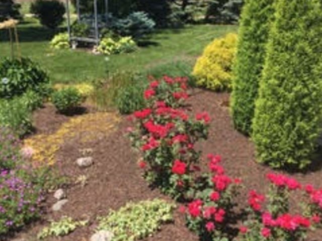 1027 West Kennedy Road Braidwood, IL 60408 - Photo 51 of 55 a view of a flower in a garden