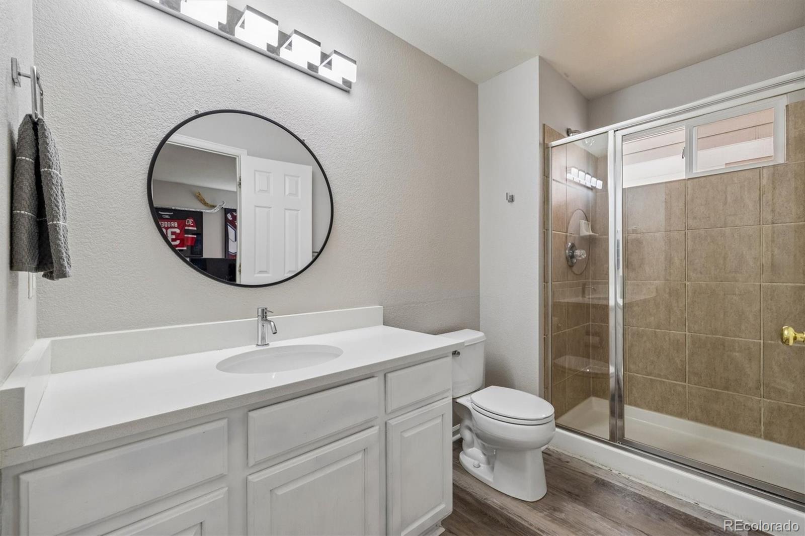 435 West Rose Finch Circle Highlands Ranch, CO 80129 - Photo 21 of 35
