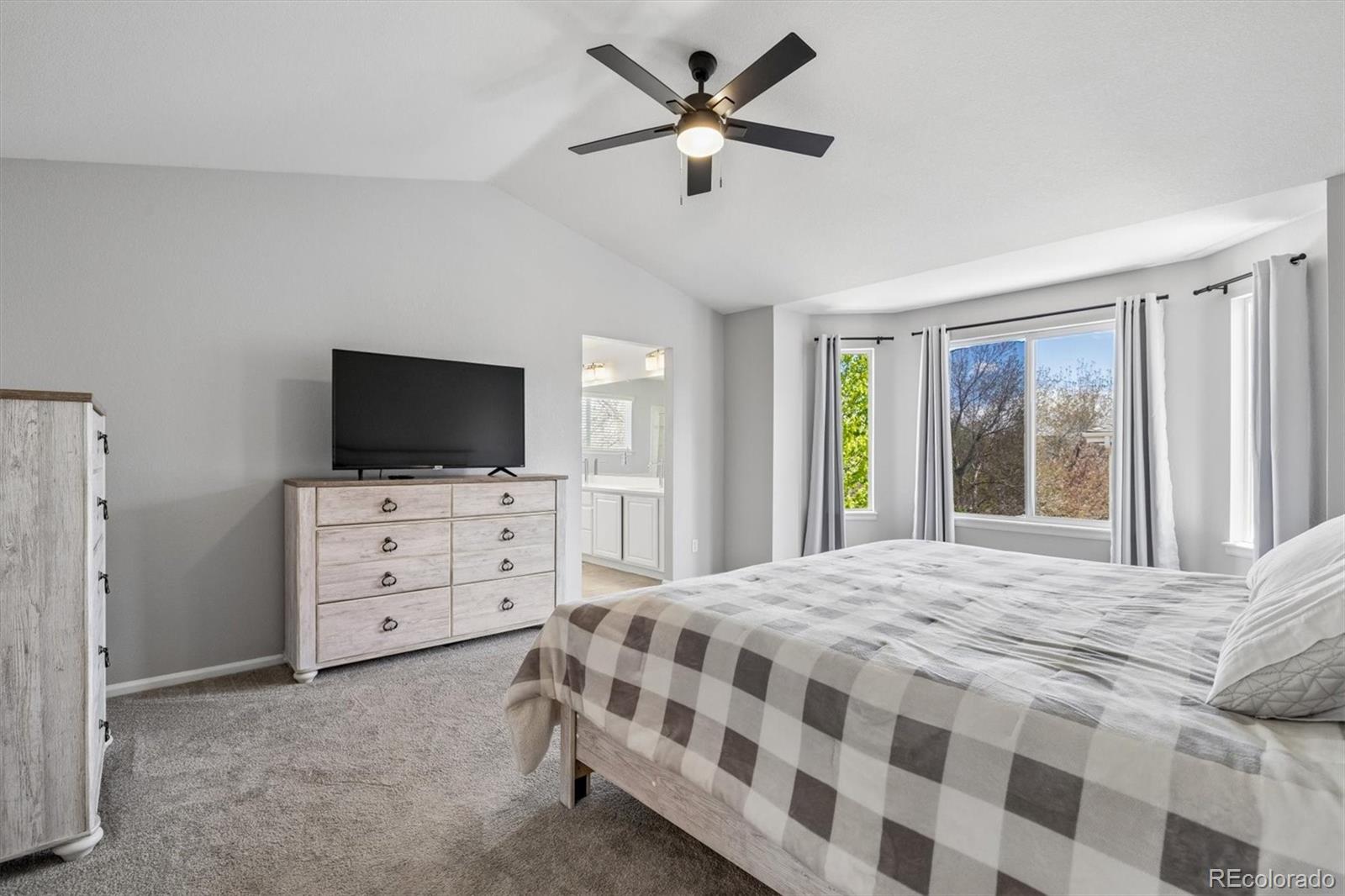 435 West Rose Finch Circle Highlands Ranch, CO 80129 - Photo 24 of 35