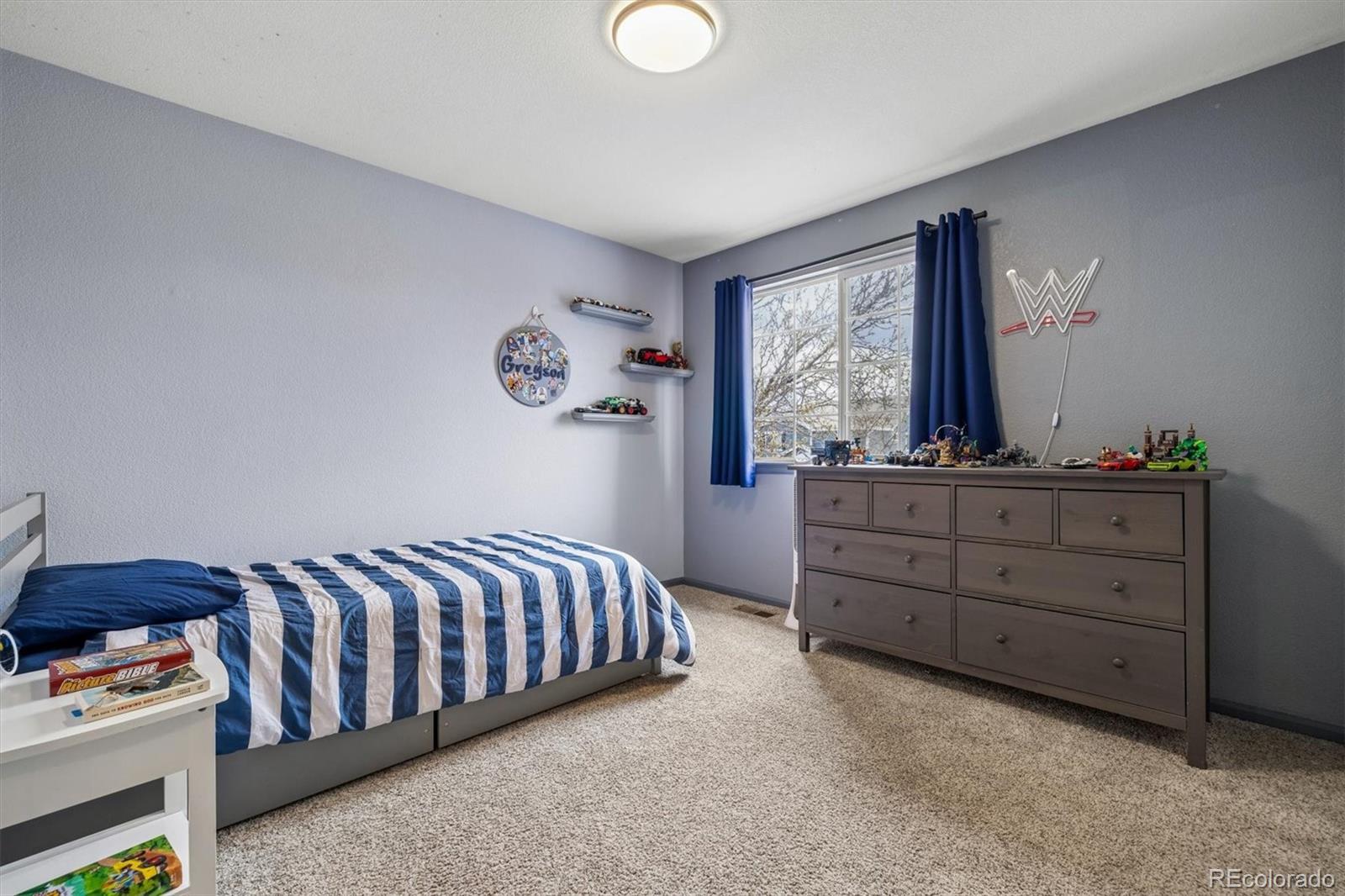 435 West Rose Finch Circle Highlands Ranch, CO 80129 - Photo 29 of 35