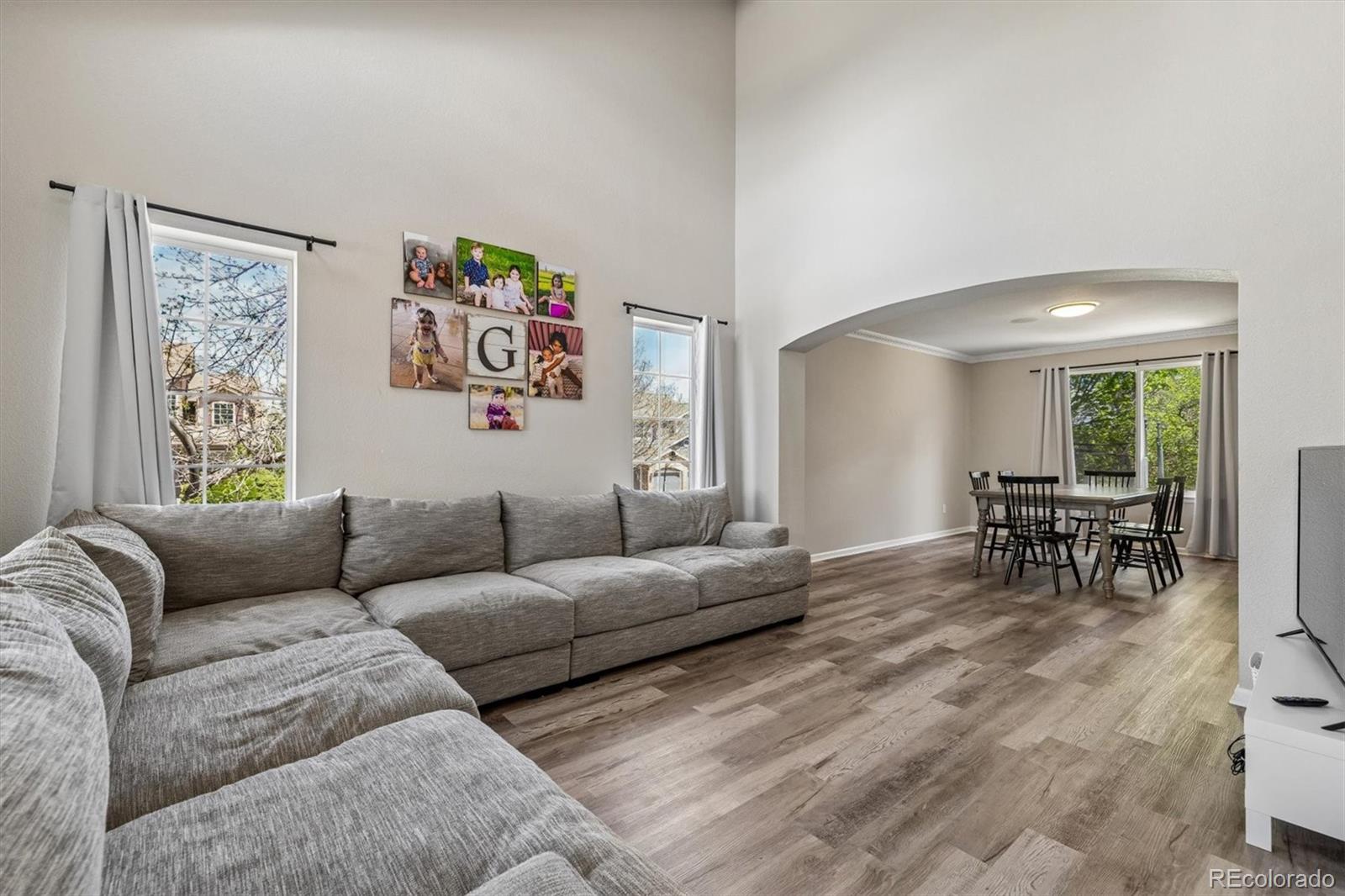 435 West Rose Finch Circle Highlands Ranch, CO 80129 - Photo 5 of 35