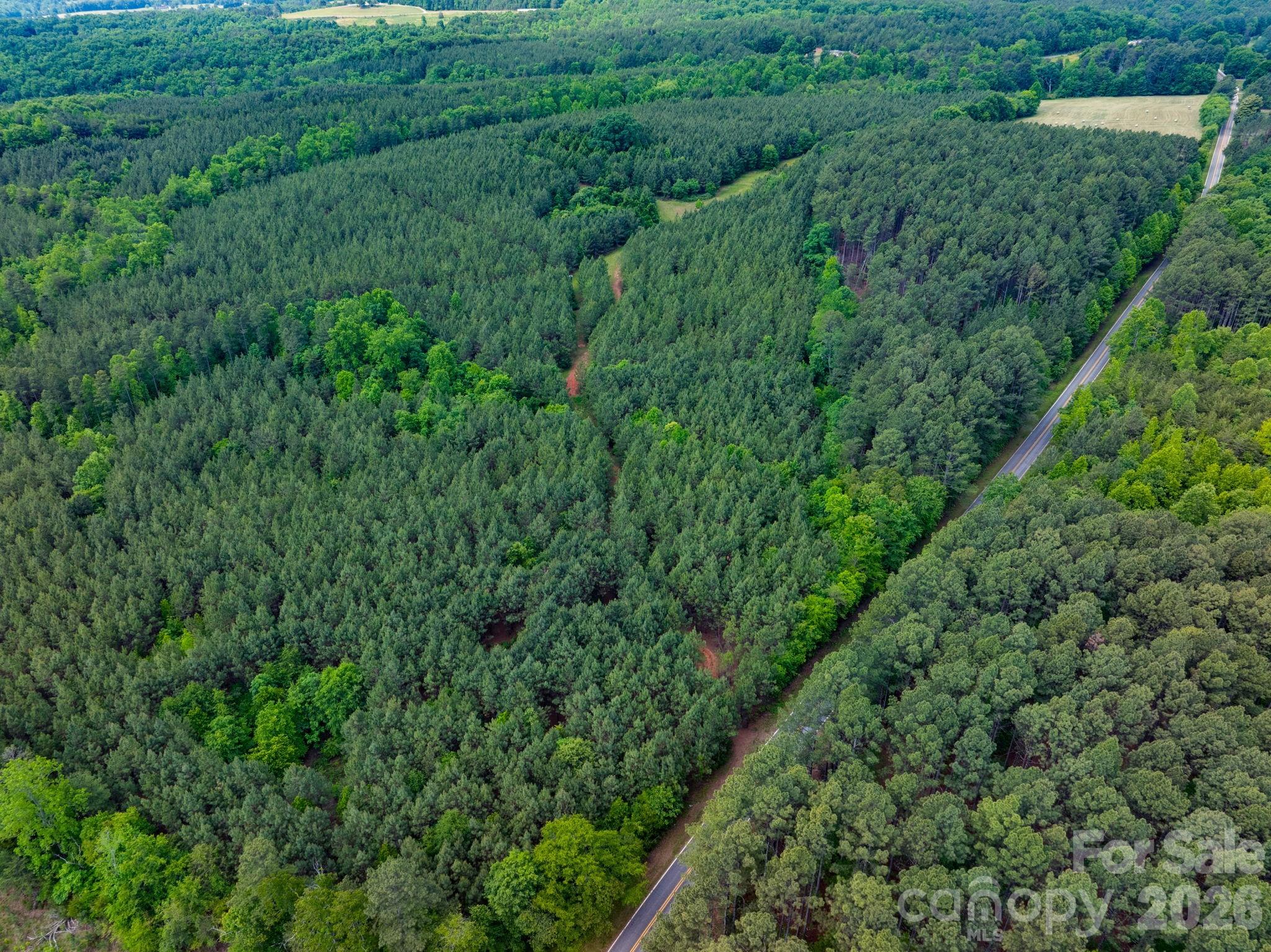 0 Jack Moore Mountain Road Ellenboro, NC 28040 - Photo 9 of 11