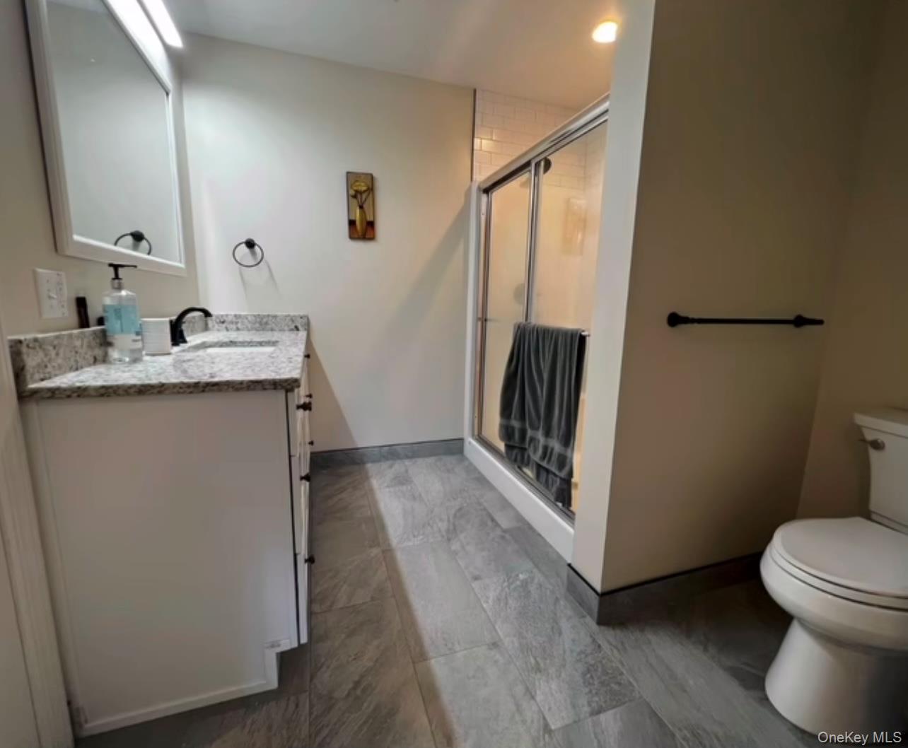 118 Plains Road, Unit 2 Walden, NY 12586 - Photo 10 of 15 a bathroom with a sink a toilet a mirror and shower