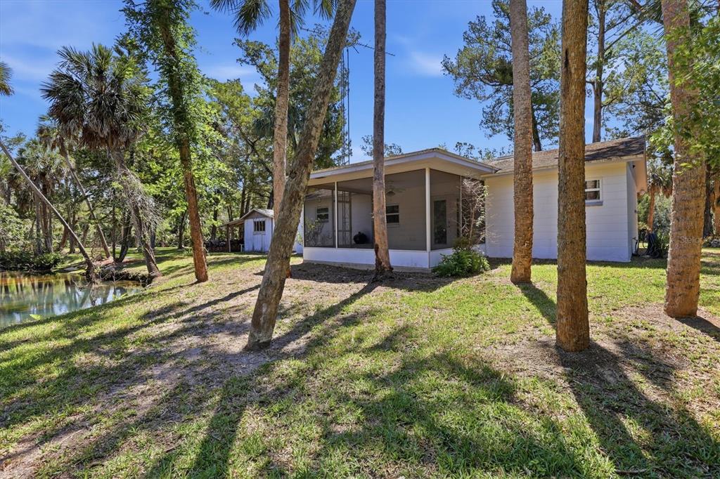 6244 Colony Circle Weeki Wachee, FL 34607 - Photo 7 of 60 a view of a house with backyard and tree