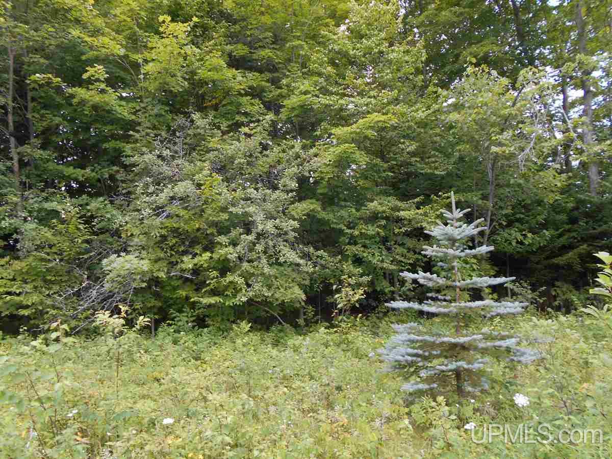 3886 Quarry Road Gulliver, MI 49840 - Photo 9 of 9 Gallery Image 9