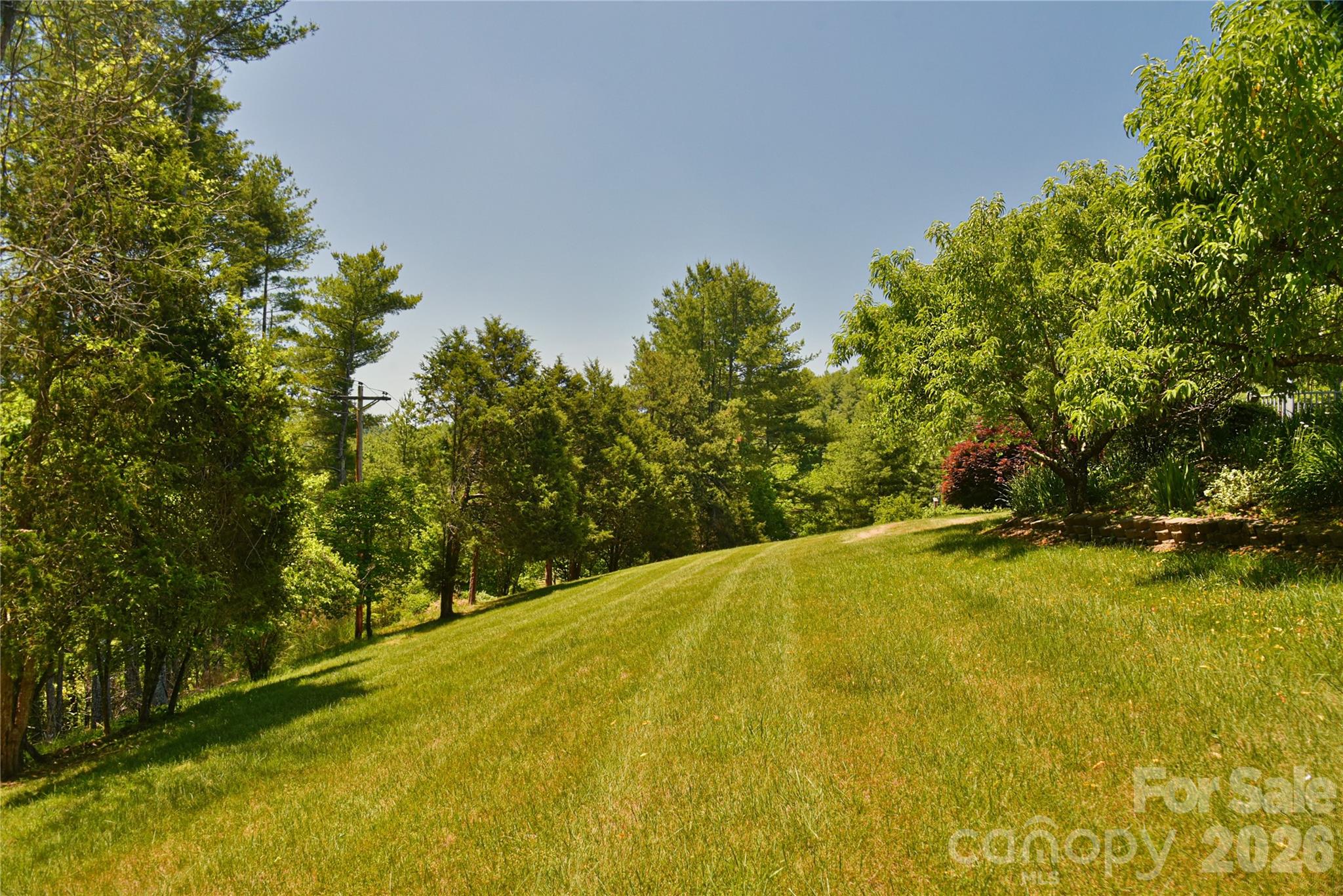 518 Forest Ridge Road Mars Hill, NC 28754 - Photo 44 of 47