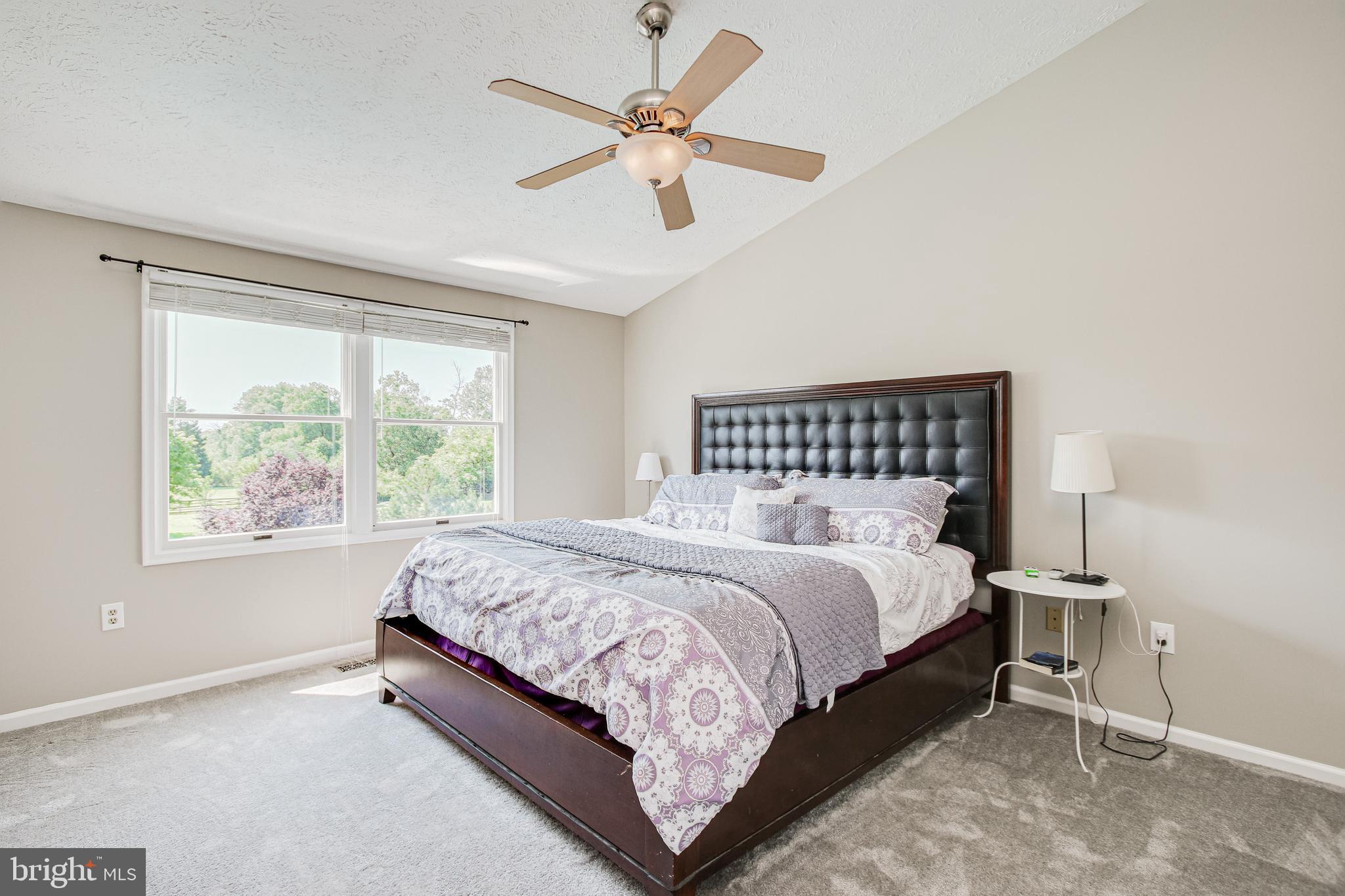 17107 Spates Hill Road Poolesville, MD 20837 - Photo 20 of 50 Master Bedroom / Neutral paint