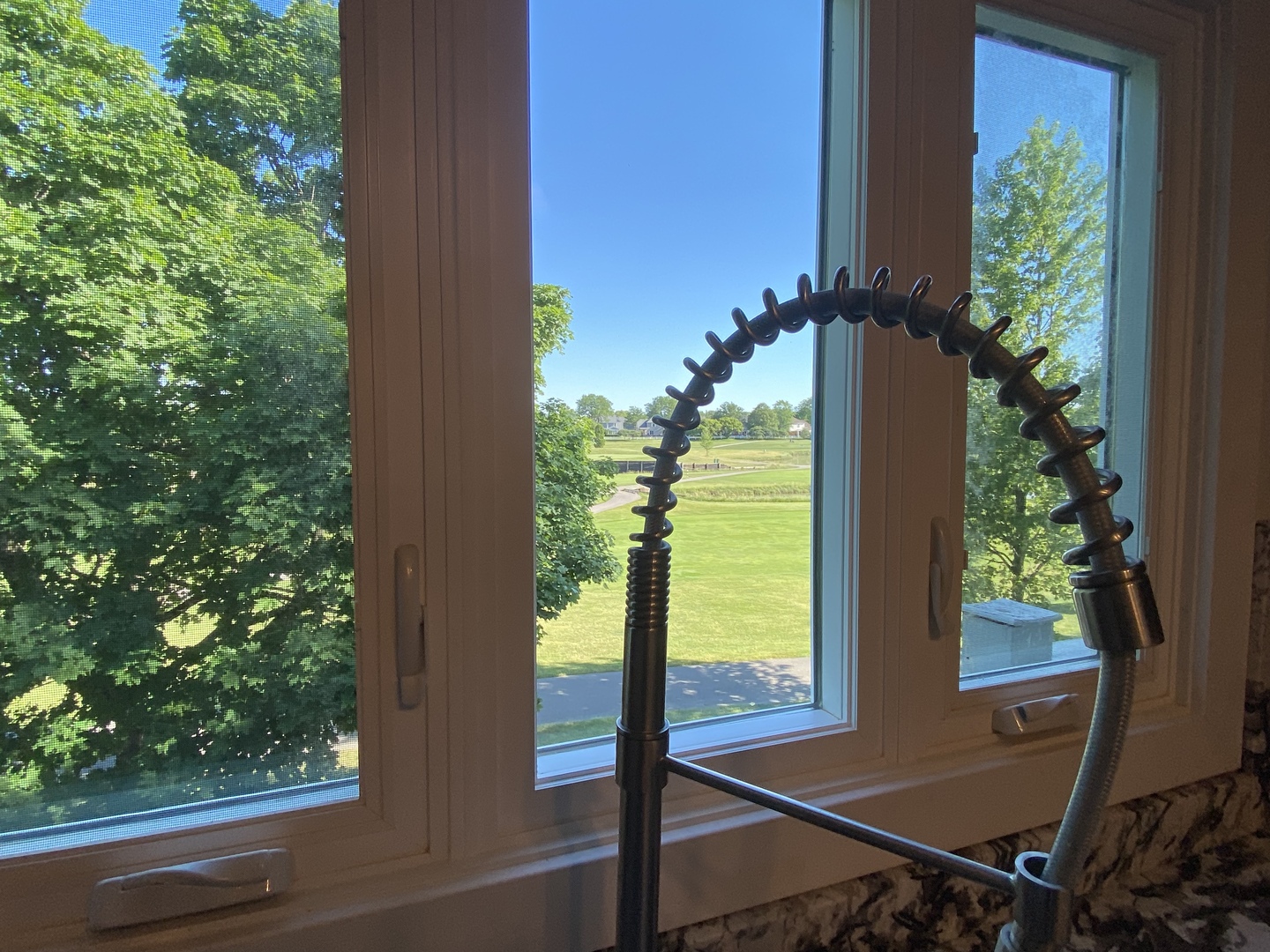 285 Doral Court, Unit A Elk Grove Village, IL 60007 - Photo 4 of 12