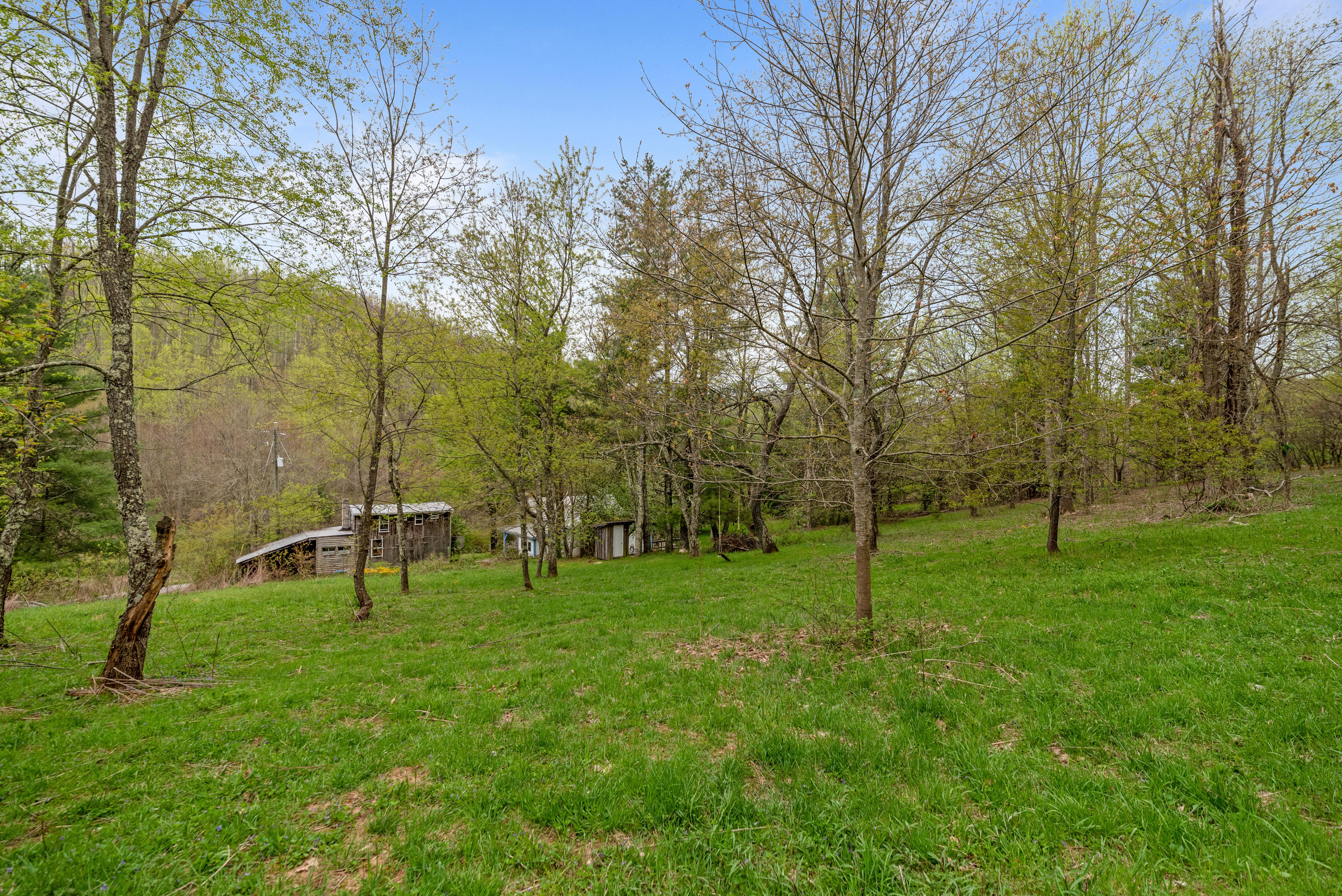 757 Halls Store Road Southwest Willis, VA 24380 - Photo 36 of 43 a view of a park with large trees