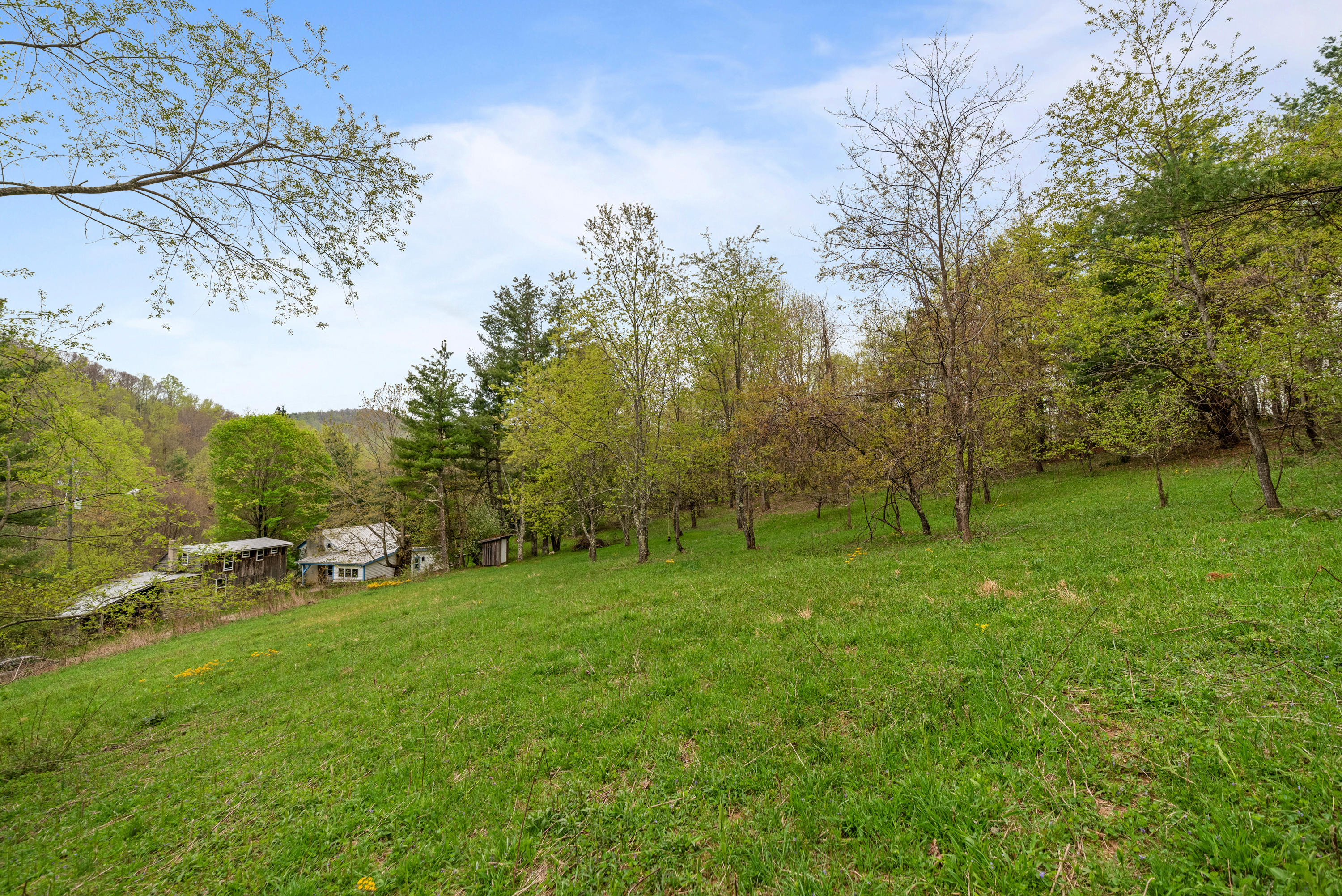 757 Halls Store Road Southwest Willis, VA 24380 - Photo 37 of 43 a view of an outdoor space and yard