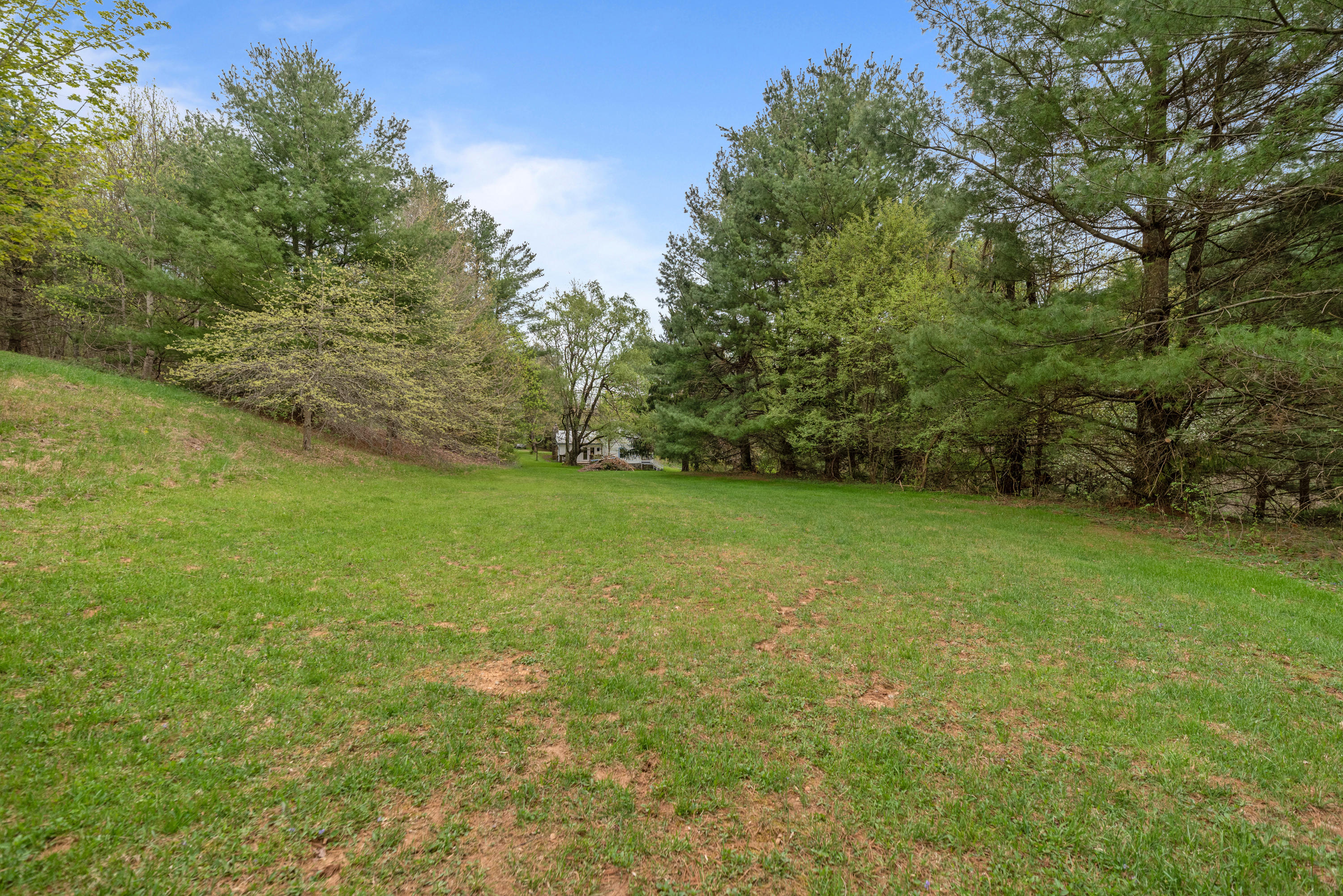 757 Halls Store Road Southwest Willis, VA 24380 - Photo 39 of 43 a view of yard with green space