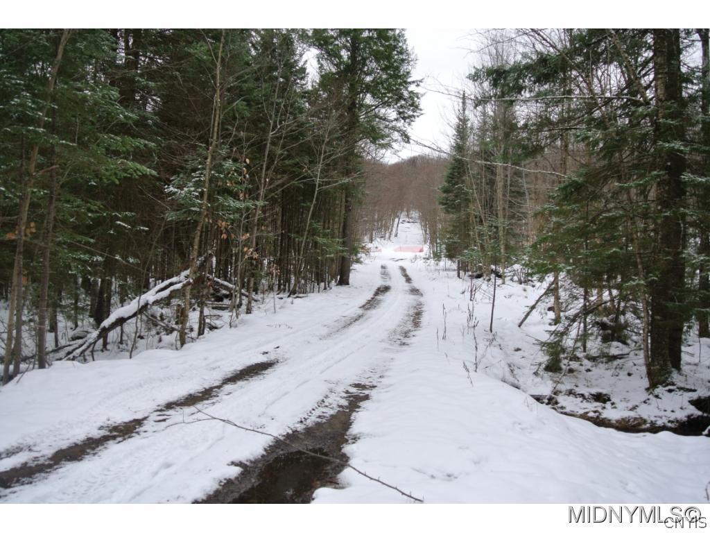 0 Off Limekiln Rd Inlet Inlet, NY 13360 - Photo 1 of 1 Entrance