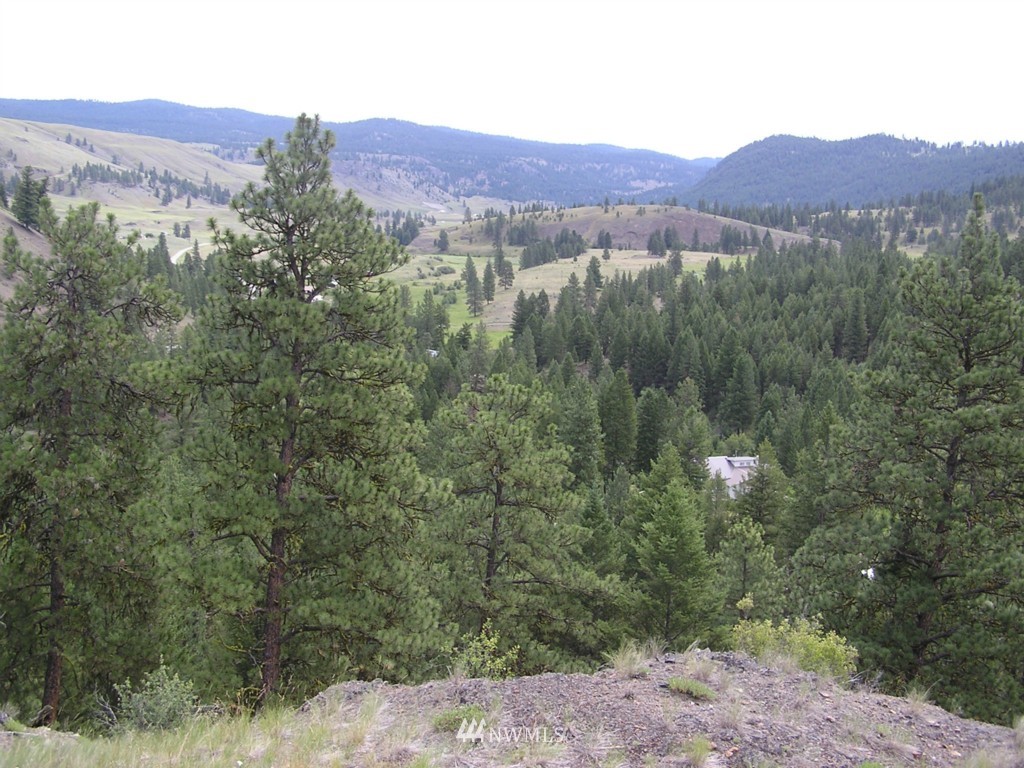 1350 Aeneas Valley Road Tonasket, WA 98855 - Photo 15 of 24 Gallery Image 15