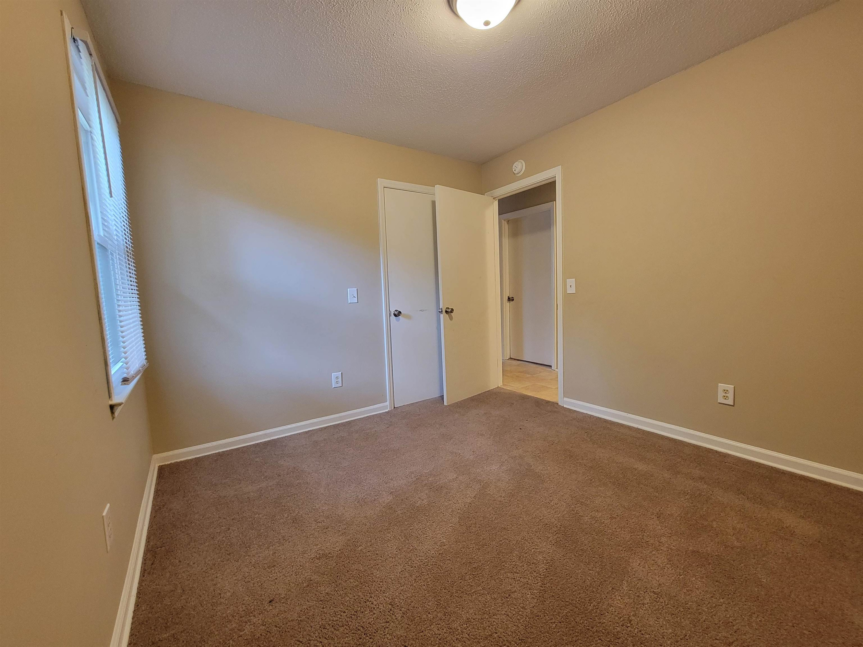 7137 Hodge Road Wendell, NC 27591 - Photo 21 of 31 Photo 21