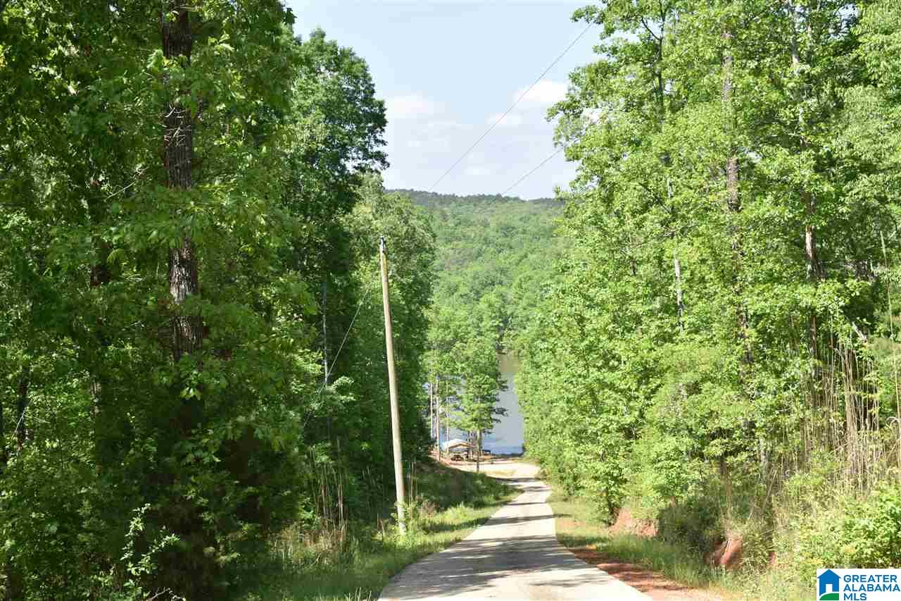 Lot 41 County Road 264, Unit RIVER BREEZE ESTATES Wedowee, AL 36278 - Photo 13 of 16