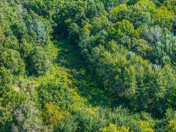 $239,000 | Lot 9 Woodside, Belleville, WI 53508