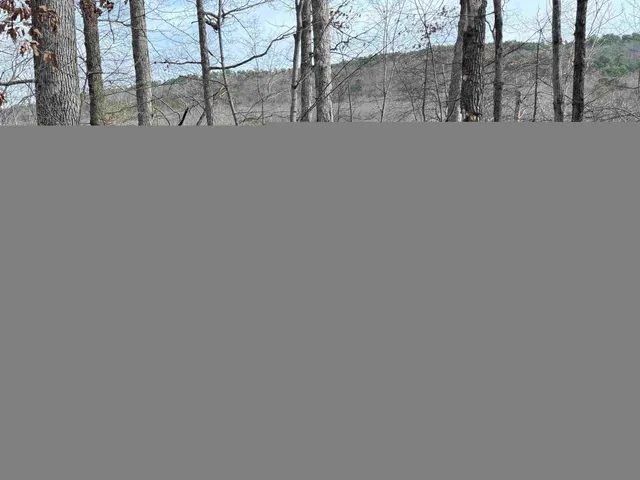 $1,895 | 5141 Trevino Drive, McGaheysville, VA 22840