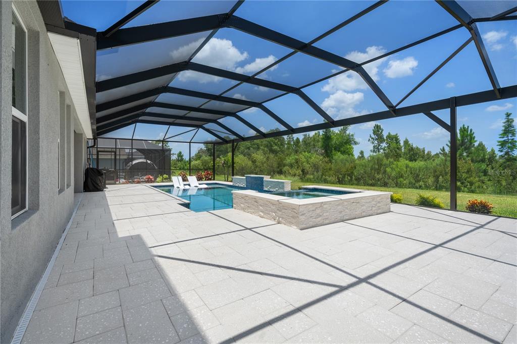 33875 Castaway Loop Wesley Chapel, FL 33543 - Photo 78 of 100