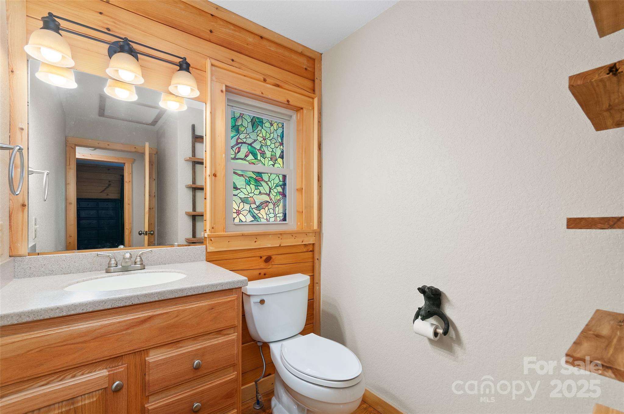 314 Prosperity Ridge Waynesville, NC 28785 - Photo 20 of 48 a bathroom with a sink a toilet a mirror and shower