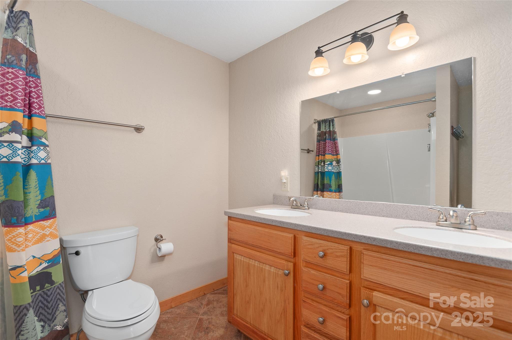 314 Prosperity Ridge Waynesville, NC 28785 - Photo 30 of 48 a bathroom with a granite countertop toilet sink and mirror