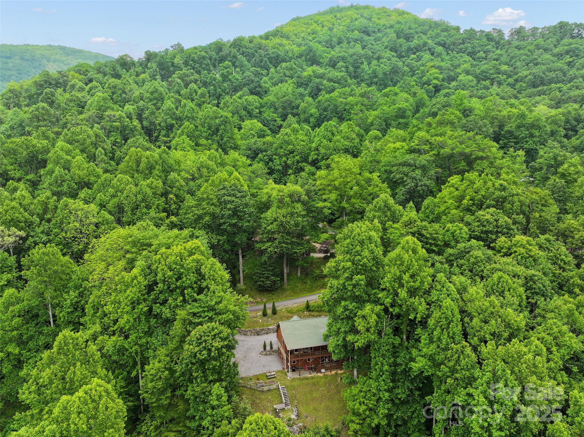 314 Prosperity Ridge Waynesville, NC 28785 - Photo 34 of 48 an aerial view of a house with a yard