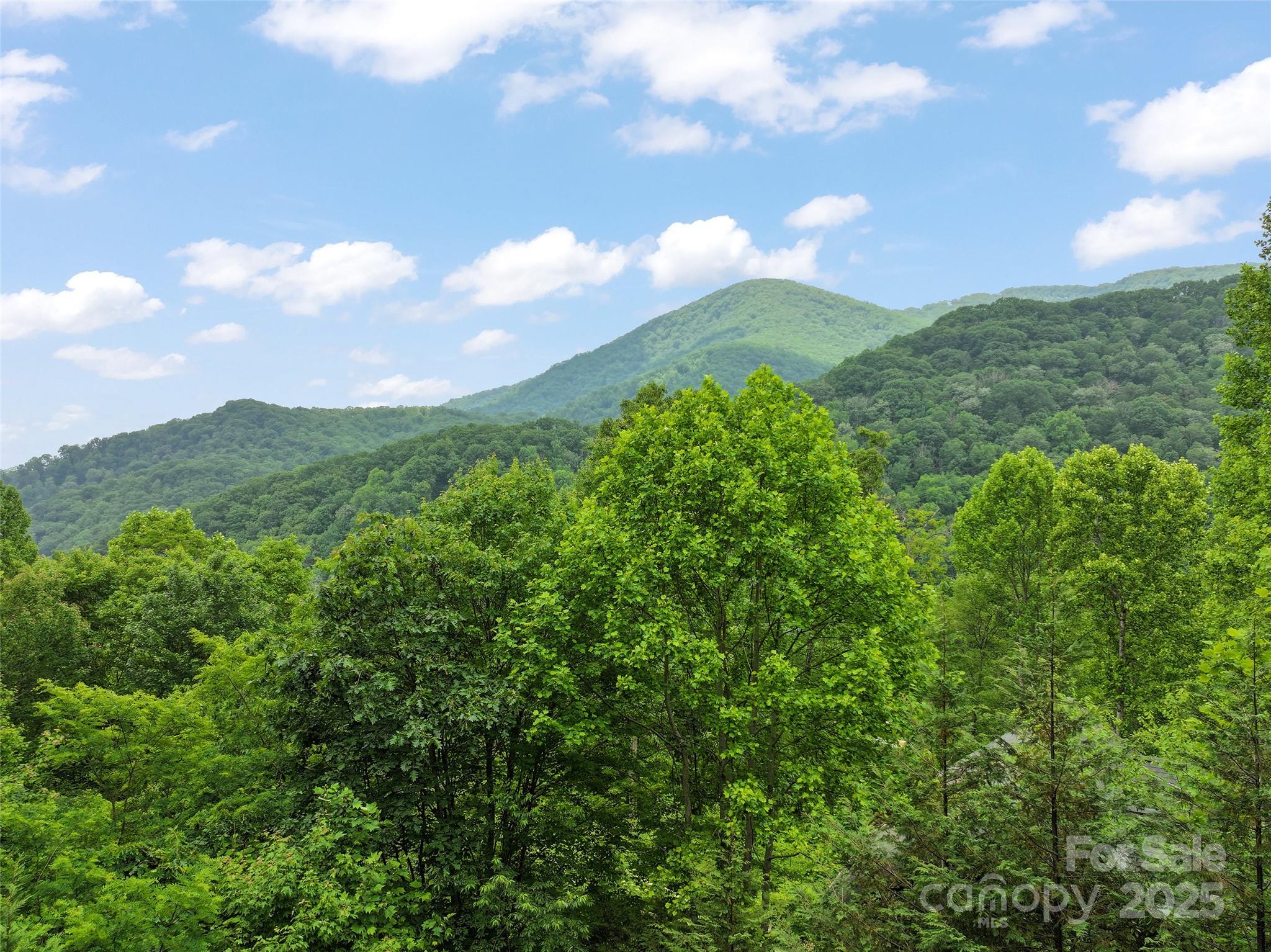 314 Prosperity Ridge Waynesville, NC 28785 - Photo 4 of 48 a view of a city