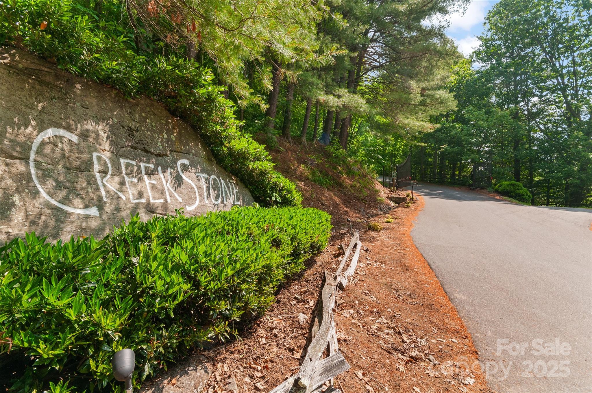 314 Prosperity Ridge Waynesville, NC 28785 - Photo 41 of 48 a view of a pathway both side of yard