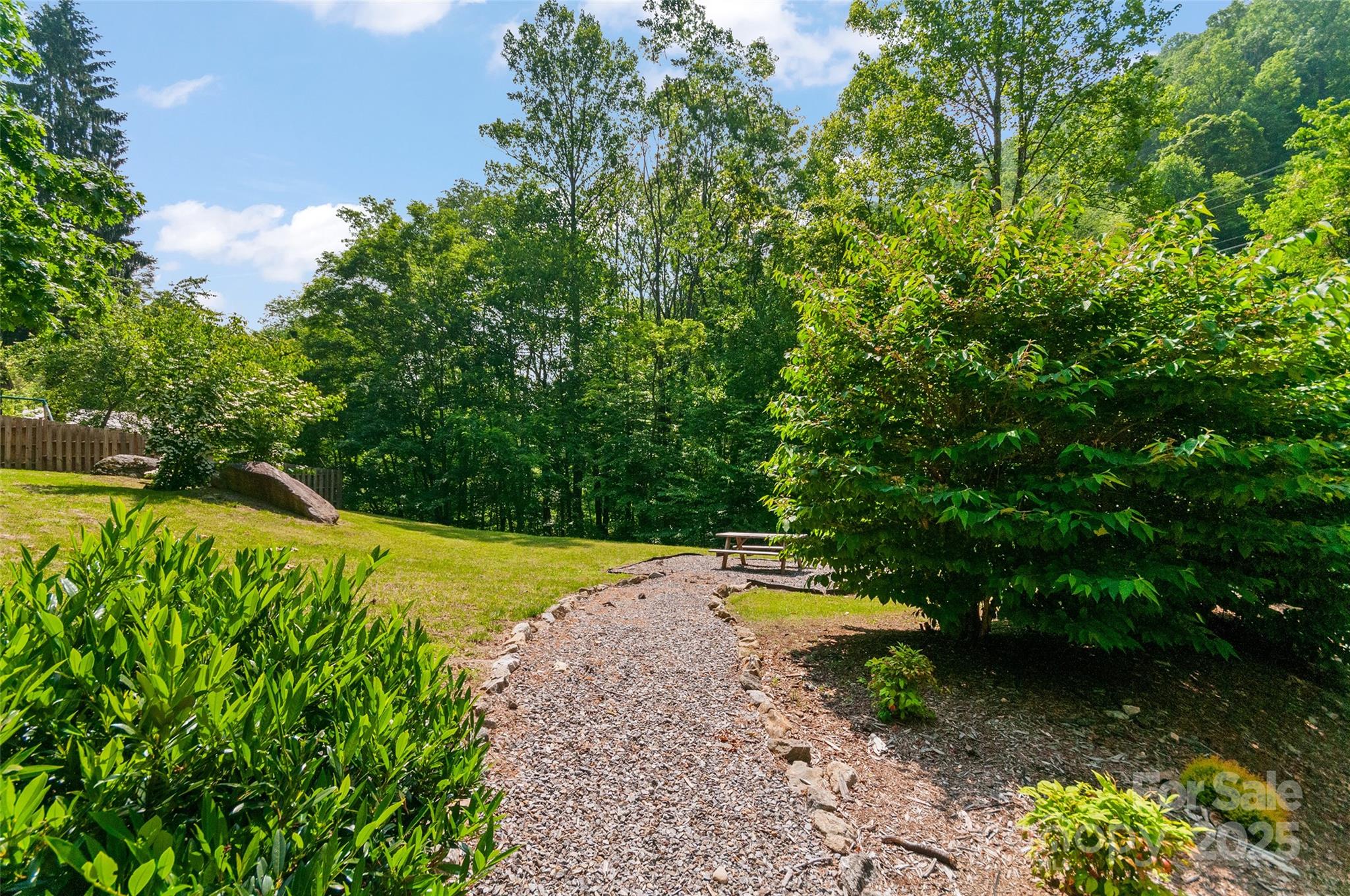 314 Prosperity Ridge Waynesville, NC 28785 - Photo 44 of 48 a view of a backyard with plants and a lake