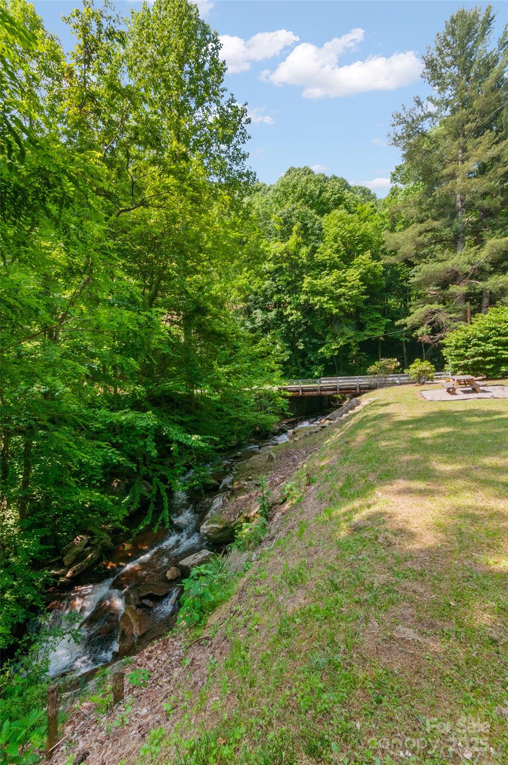 314 Prosperity Ridge Waynesville, NC 28785 - Photo 48 of 48 a view of a green yard with plants and large trees