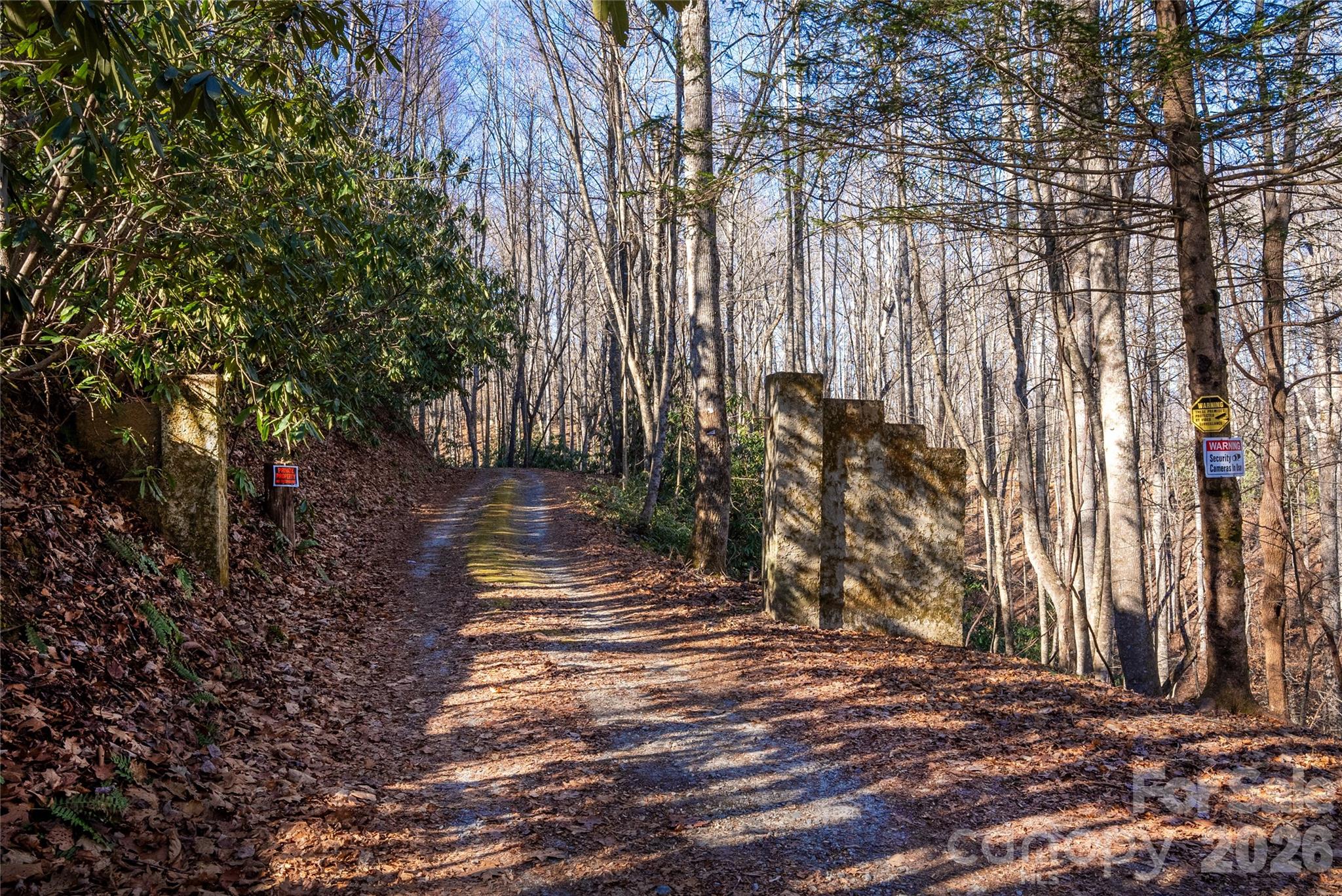 370 Moons Rest Lane Brevard, NC 28712 - Photo 28 of 33