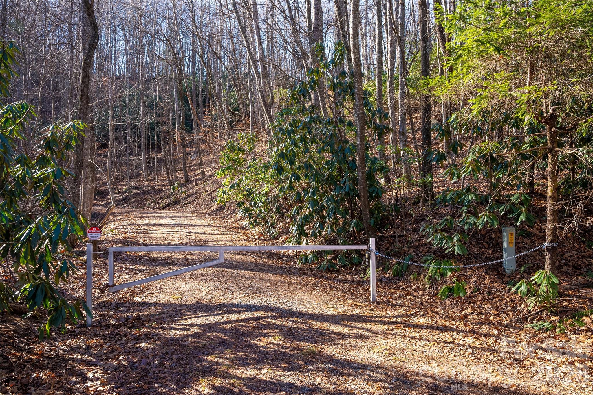370 Moons Rest Lane Brevard, NC 28712 - Photo 29 of 33