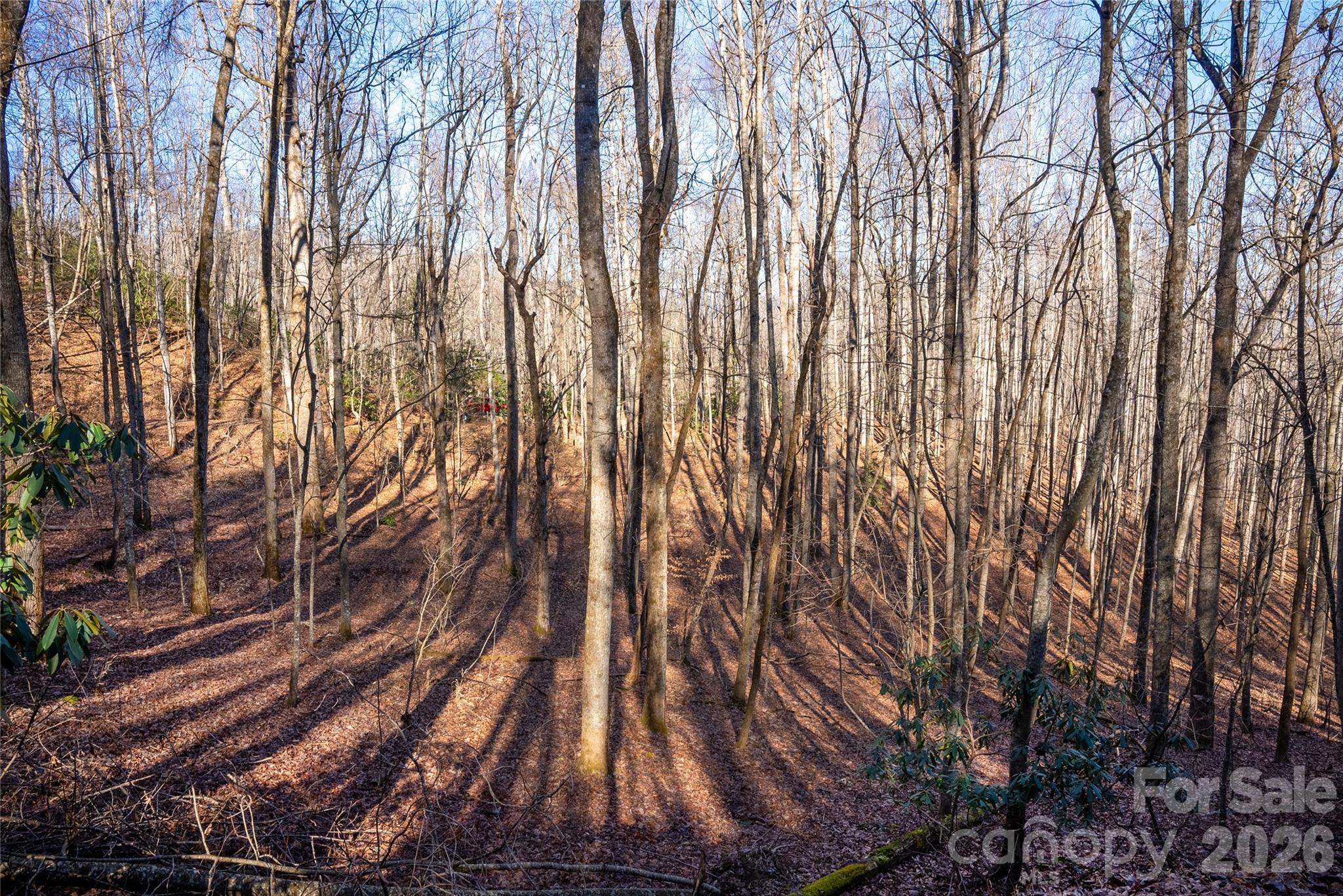 370 Moons Rest Lane Brevard, NC 28712 - Photo 30 of 33