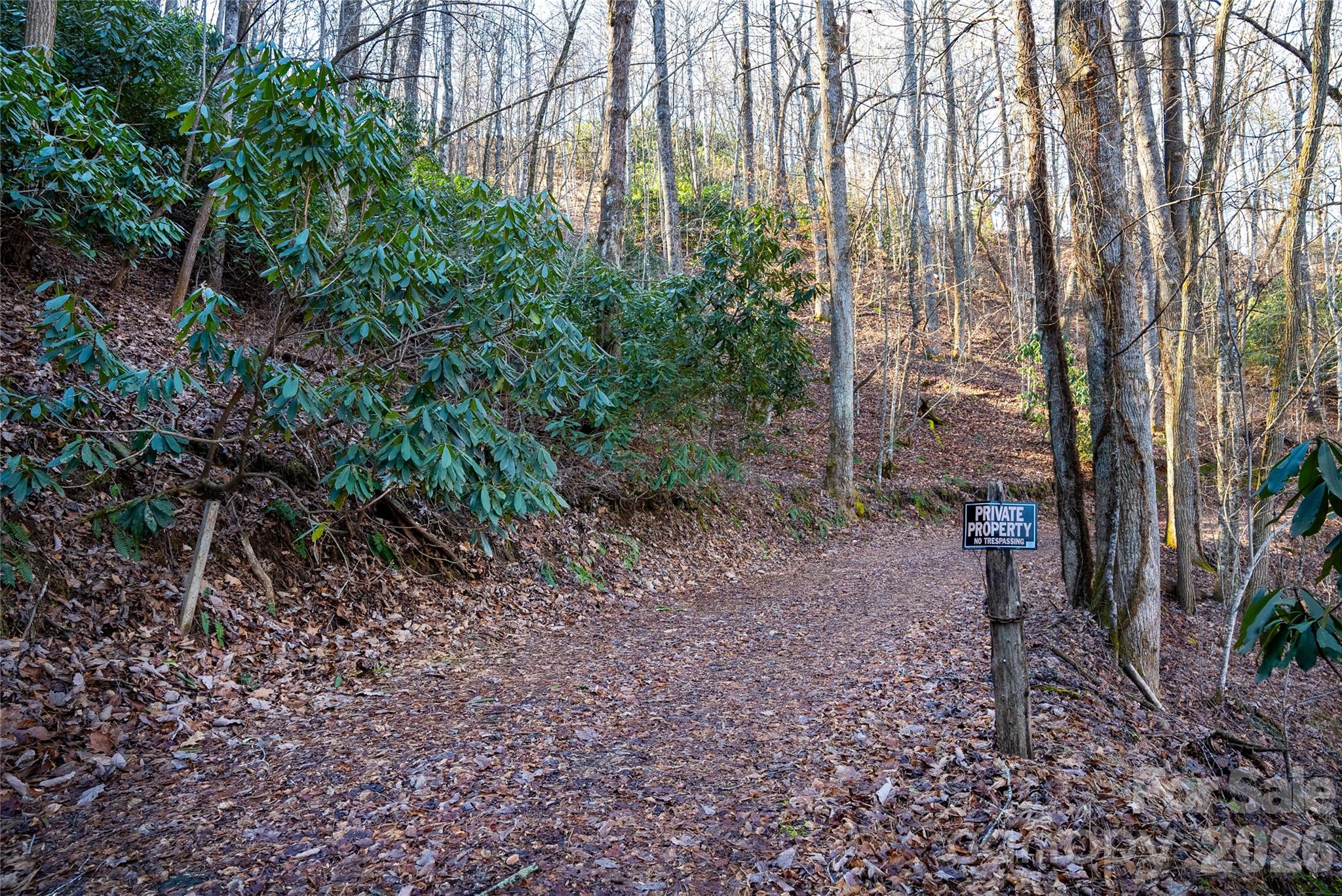 370 Moons Rest Lane Brevard, NC 28712 - Photo 31 of 33