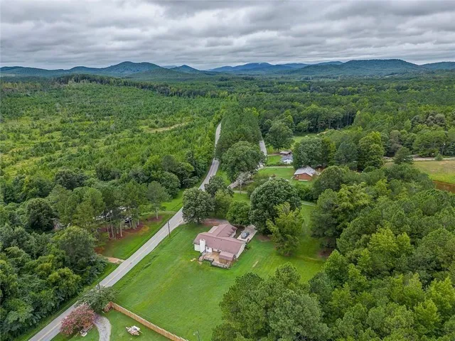 a view of a city with lush green forest