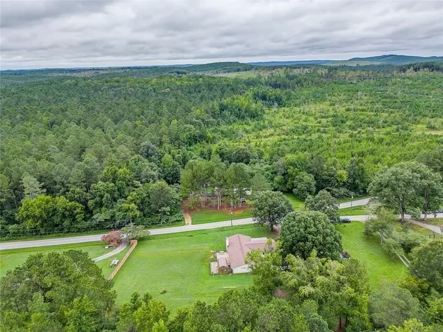 a view of a field with plants and a trees