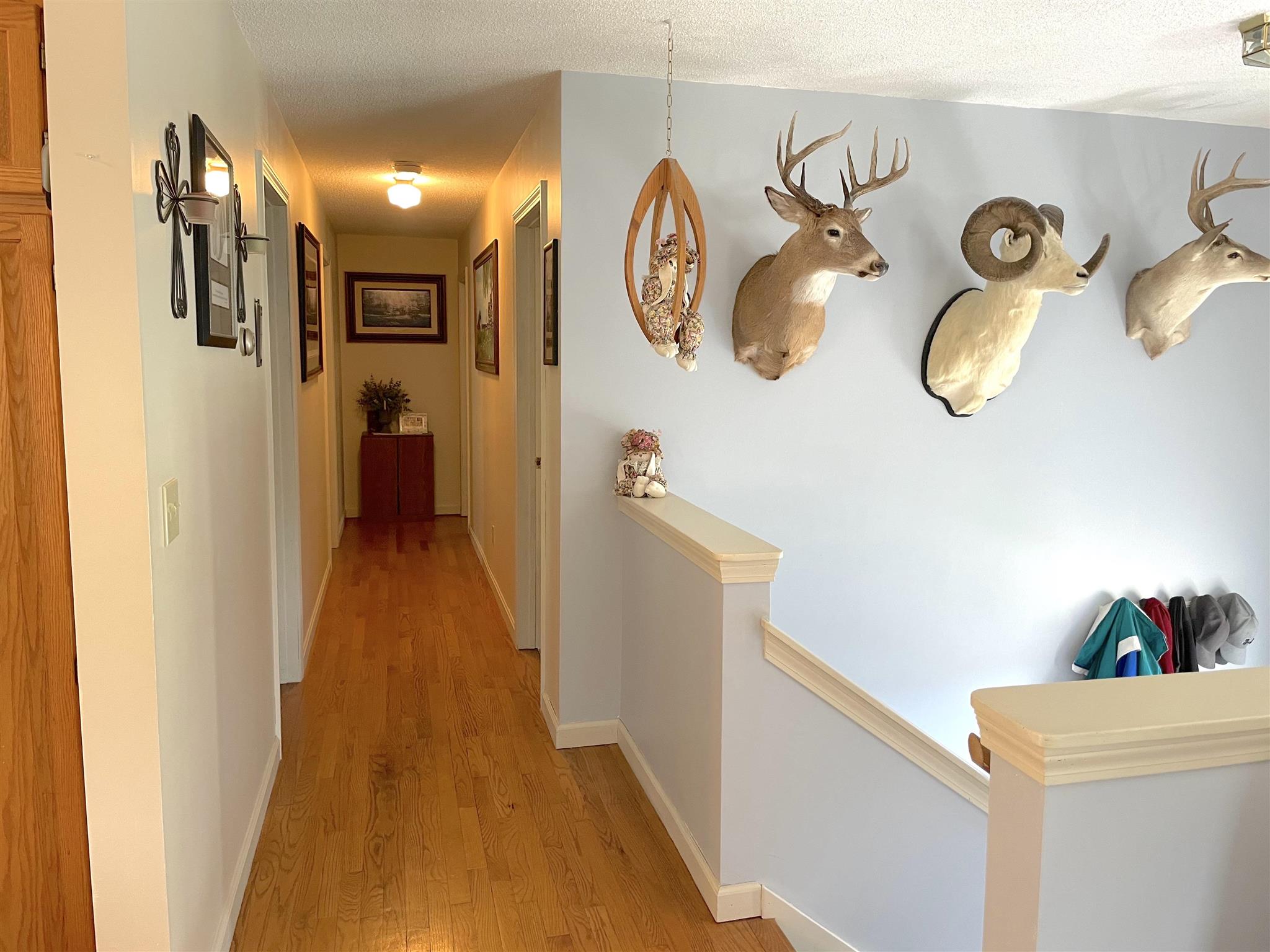 689 Brook Road Burke, VT 05871 - Photo 2 of 18 Gallery Image 2
