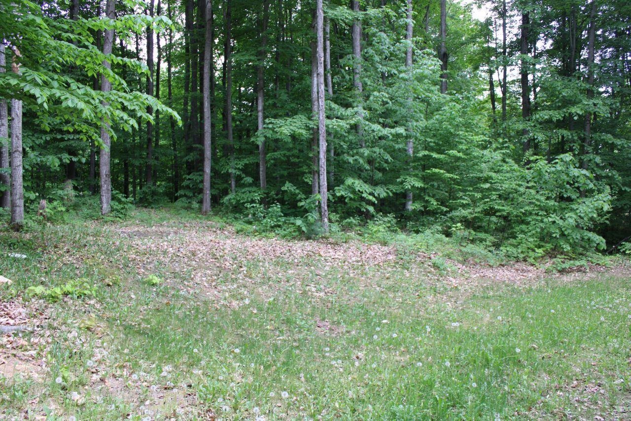 6088 Covert Road Northeast Mancelona, MI 49659 - Photo 8 of 38 1892773-7.JPG