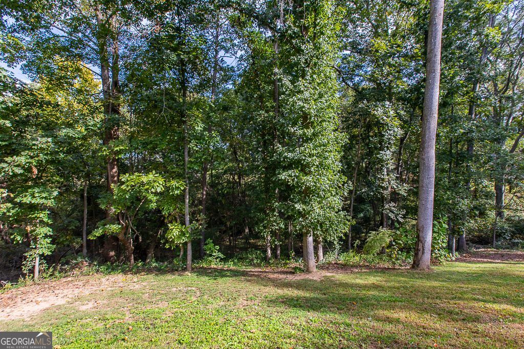 108 Albright Court Commerce, GA 30529 - Photo 66 of 70