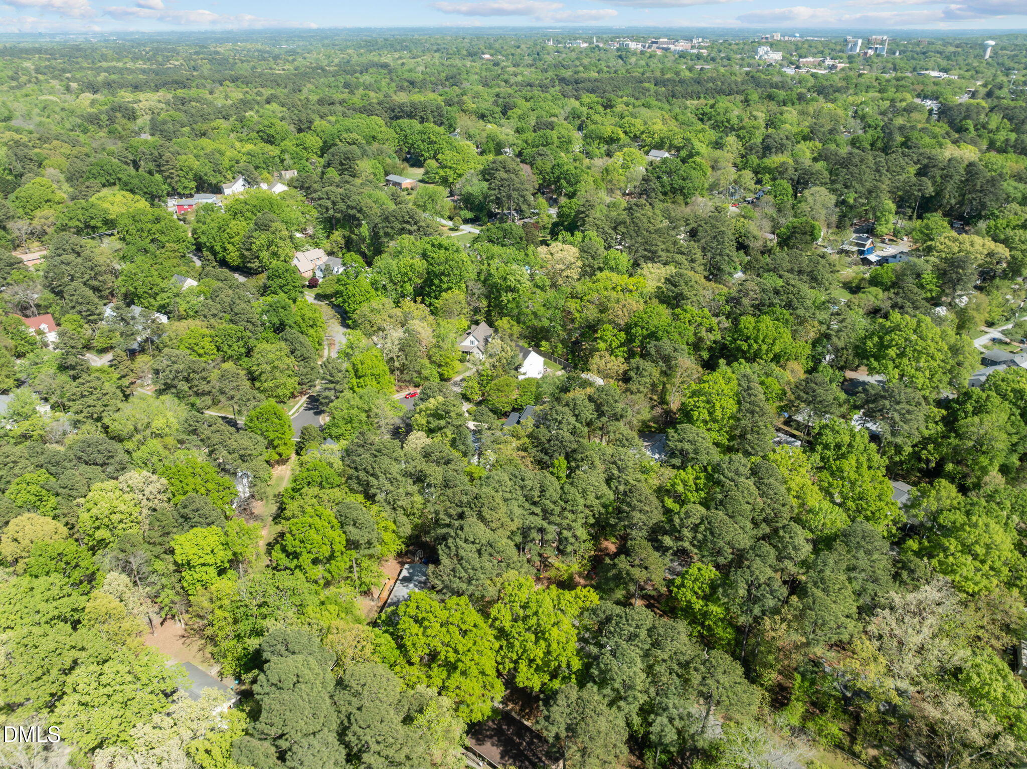 201 Simpson Street, Unit B Carrboro, NC 27510 - Photo 53 of 56 a view of a lush green forest with a lush green forest