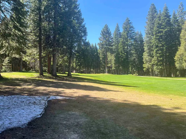 $65,000 | 343 Osprey Loop, Lake Almanor West, CA 96020