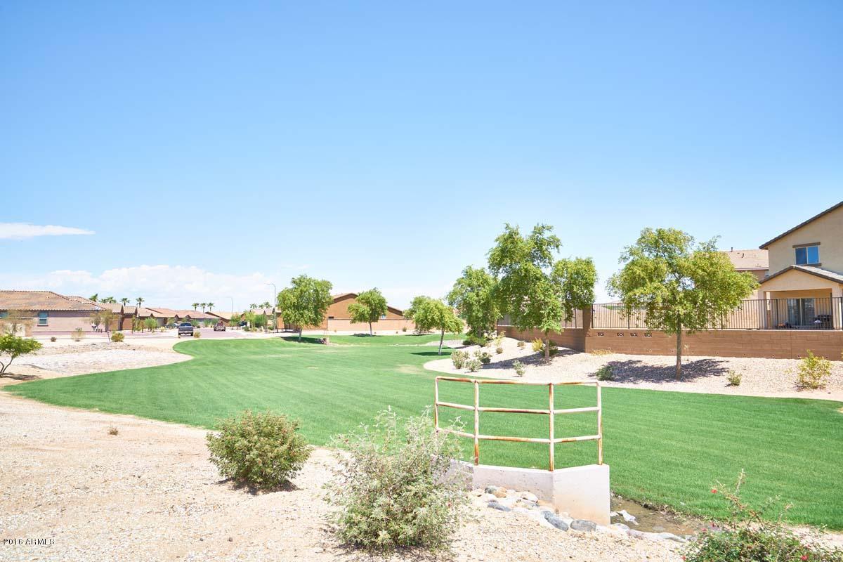 7572 West Darrel Road Laveen, AZ 85339 - Photo 13 of 36 Community Greenbelt2