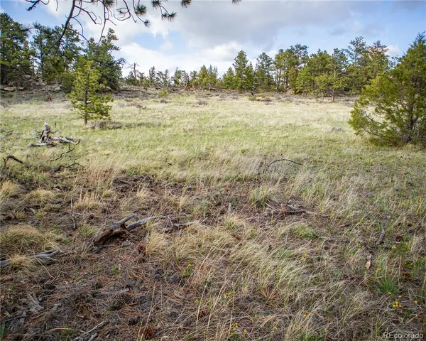 $840,000 | 13101 North County Road 73C, Red Feather Lakes, CO 80545