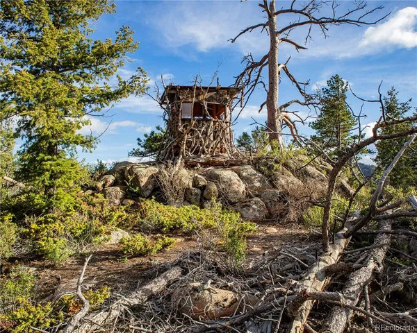 $840,000 | 13101 North County Road 73C, Red Feather Lakes, CO 80545